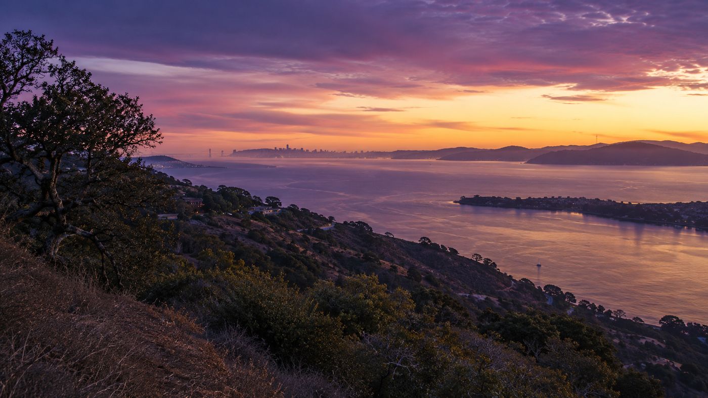 A peaceful Northern California coastal hillside at dusk, the waters of San Francisco Bay visible below, the sky turning gold and violet