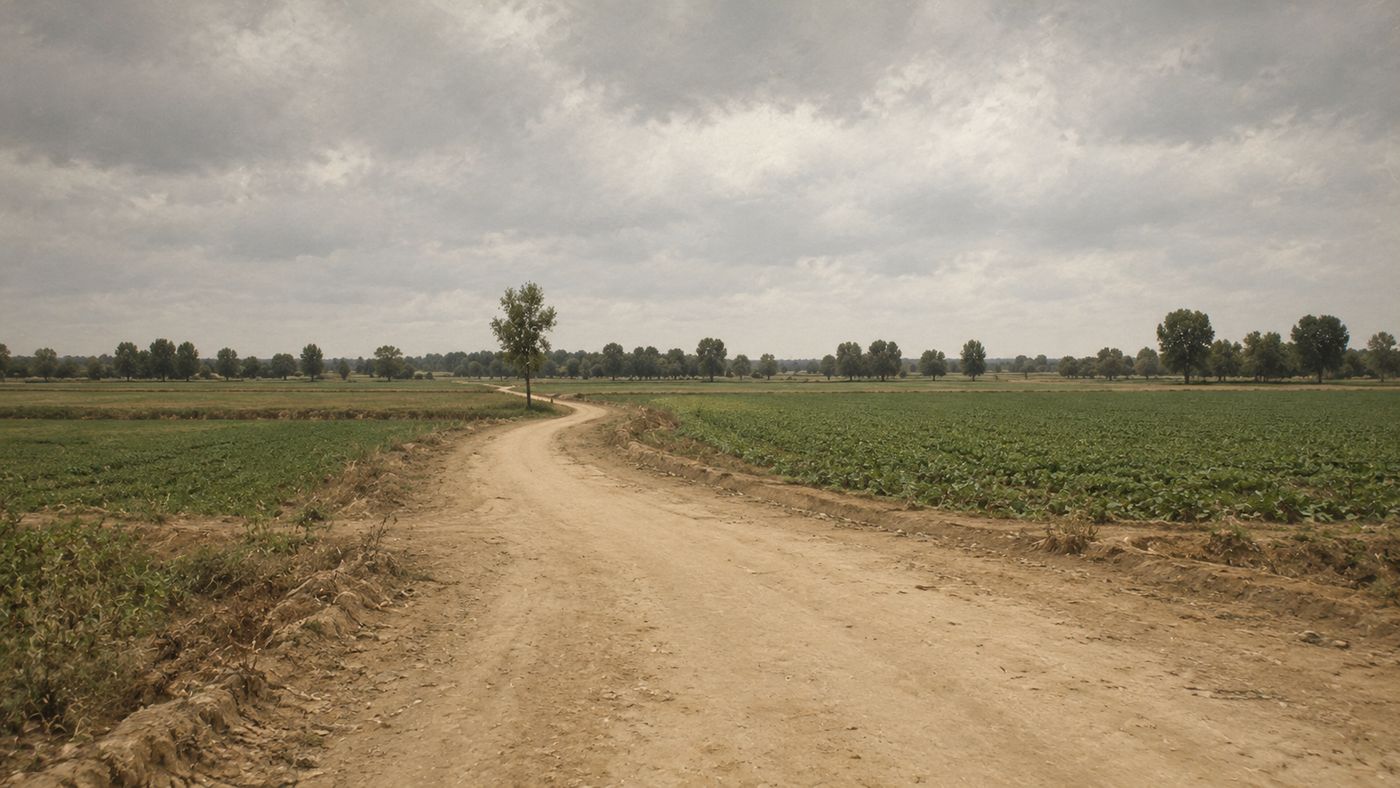 A rural Chinese landscape in 1945, a dusty road through flat farmland under a wide sky, the terrain of the post-war transition period